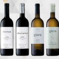 Wine&Soul apresenta as novas colheitas de Pintas e Guru