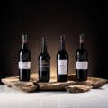 Fladgate Family Wines declara 2024 como ano “Vintage” para as casas Taylor’s, Croft e Fonseca