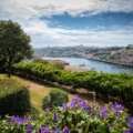 Air Invictus by Vinhos Verdes: provas de vinhos e provas aéreas nos jardins com vista  para o Rio Douro