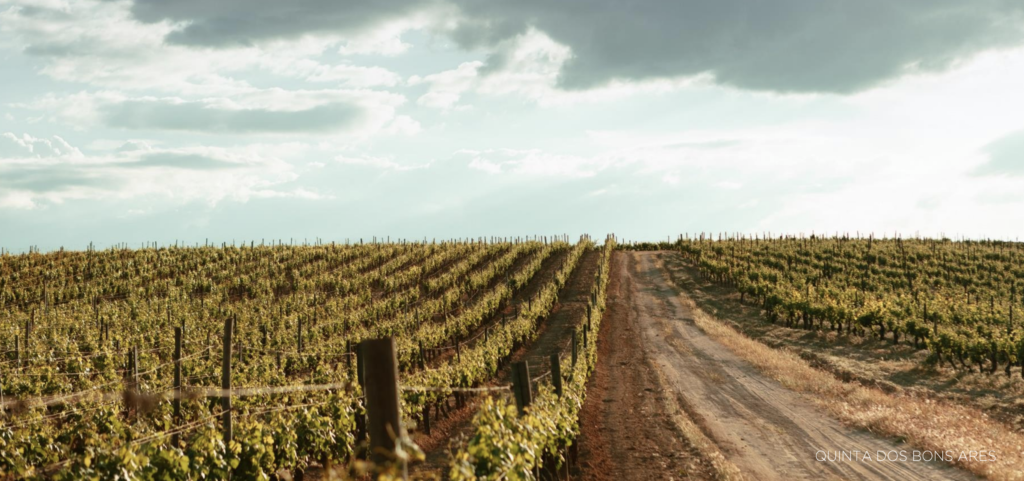 Quinta dos Bons Ares Ramos Pinto