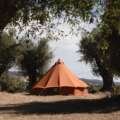 Dormir entre oliveiras milenares no coração do Alentejo? É possível no regresso do Pop-Up Glamping da Mainova
