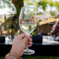 Barcelos Entre Vinhos estreia-se com milhares de visitantes e afirma os Vinhos Verdes do concelho