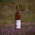 Esporão apresenta o primeiro Colheita Rosé