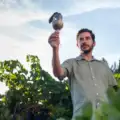 António Madeira coloca o Dão no topo mundial com 100 pontos de James Suckling