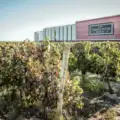 Casa Ermelinda Freitas – Prémios XXIV DO CONCURSO ENOLÓGICO INTERNACIONAL “CITTÀ DEL VINO”