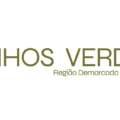 Vinhos Verdes apostam na Inteligência Artificial para acelerar a apreciação de rótulos