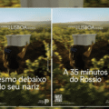 Vinhos de Lisboa apresentam nova identidade visual